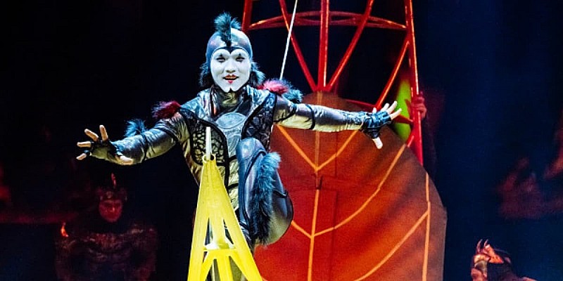 Cirque du Soleil: OVO