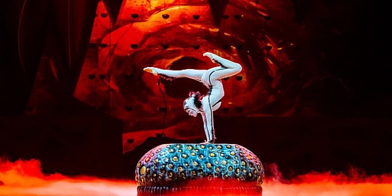 Cirque du Soleil: OVO