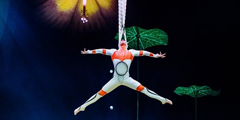 Cirque du Soleil: OVO