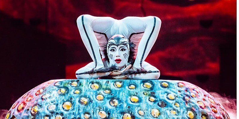 Cirque du Soleil: OVO