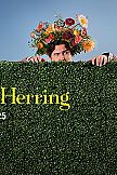Albert Herring