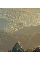 Dynamic Price variation at Detail Level