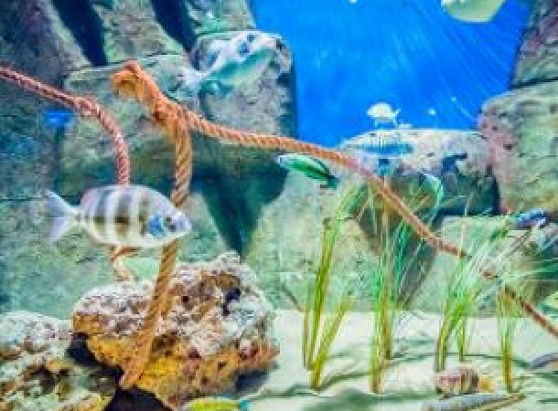 Demo Sample MainCombi