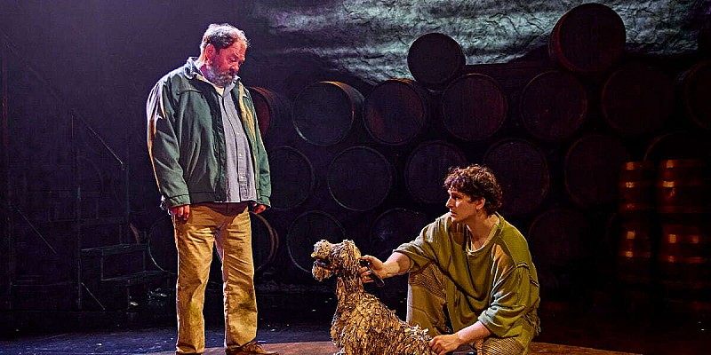 The Unlikely Pilgrimage of Harold Fry