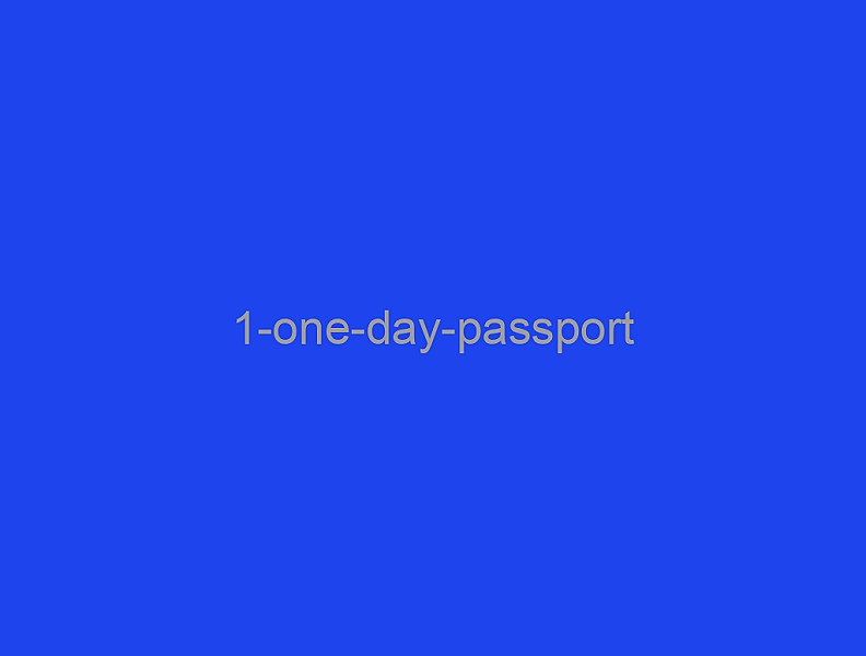 1デーパスポート (One Day Passport)