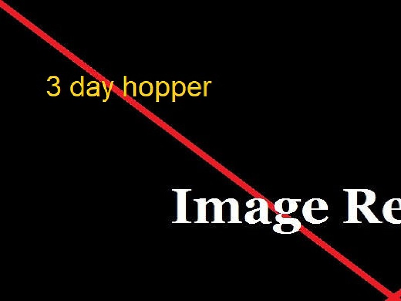3-Day Hopper